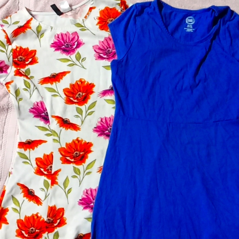 Two dresses for a 12 Year old Girl used